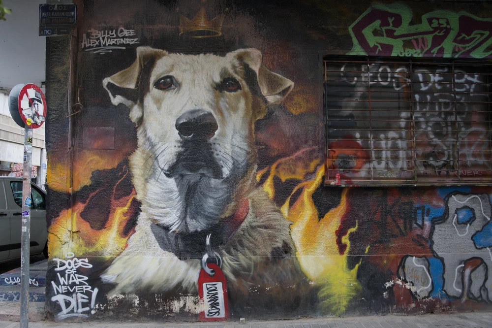Dogs of War Never Die!