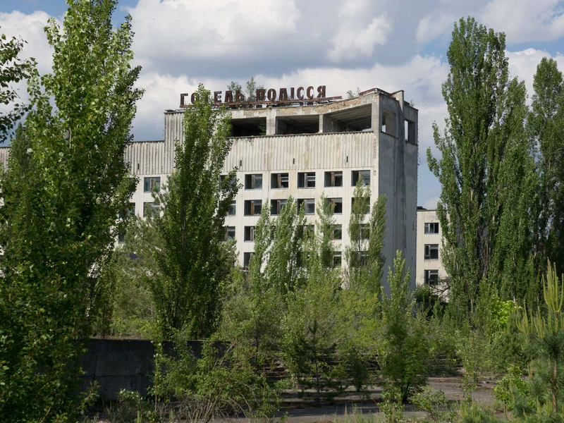 Припять — Полісся
